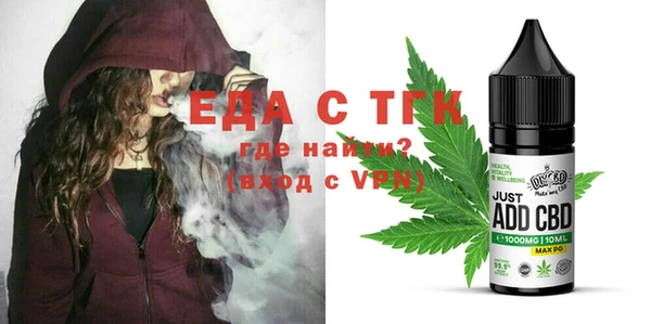 дживик Бородино