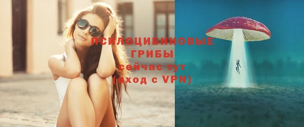 дживик Бородино