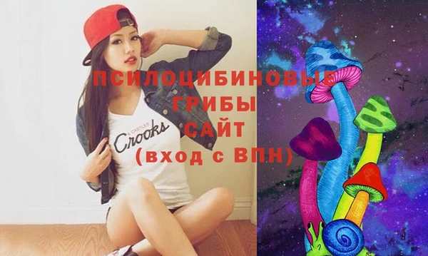 дживик Бородино