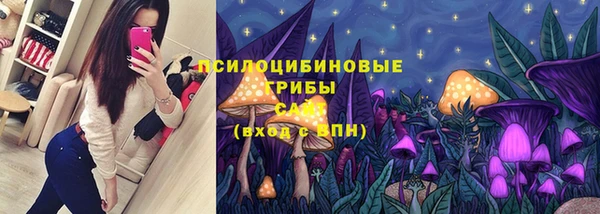 соль ск Бугульма