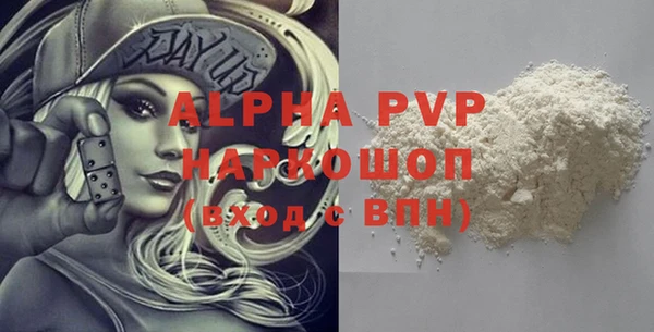 дживик Бородино