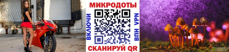 Псилоцибиновые грибы GOLDEN TEACHER Купить где Мамоново